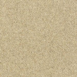 Royal Charter Deluxe - Image 3