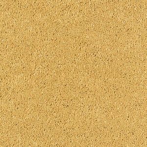 Stainfree Sophisticat - Image 2