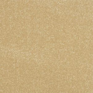 Stainfree Ultra - Image 20