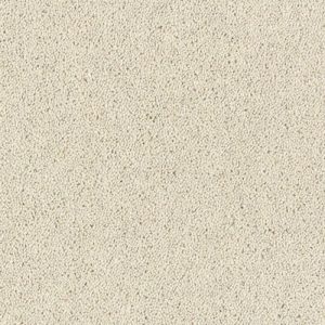 Royal Charter Deluxe - Image 22