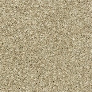 Stainfree Sophisticat - Image 16