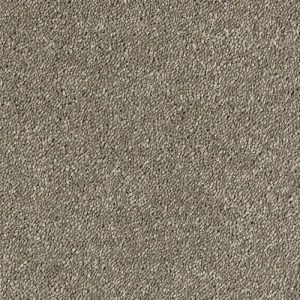 Stainfree Sophisticat - Image 14