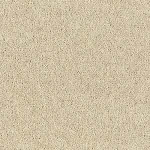 Royal Charter Deluxe - Image 19