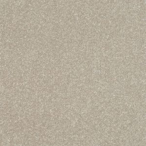 Stainfree Ultra - Image 14