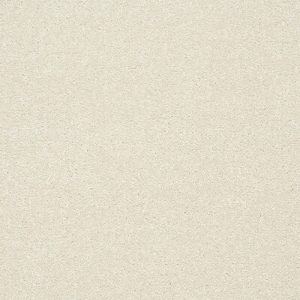 Stainfree Twist - Image 2