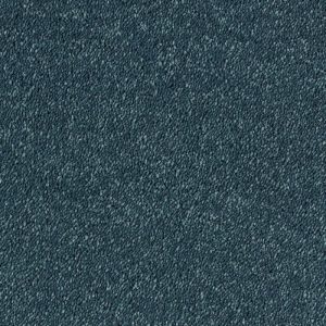 Stainfree Sophisticat - Image 11