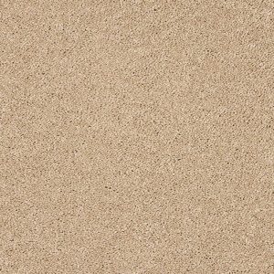 Velvet Dreams - Image 8