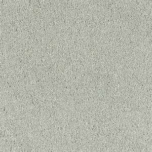 Stainfree Sophisticat - Image 8