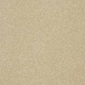 Stainfree Twist - Image 16