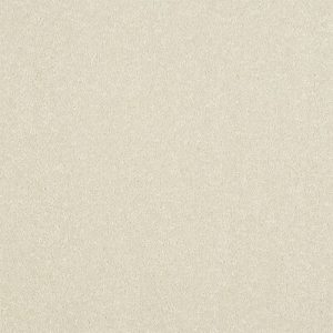 Stainfree Ultra - Image 5